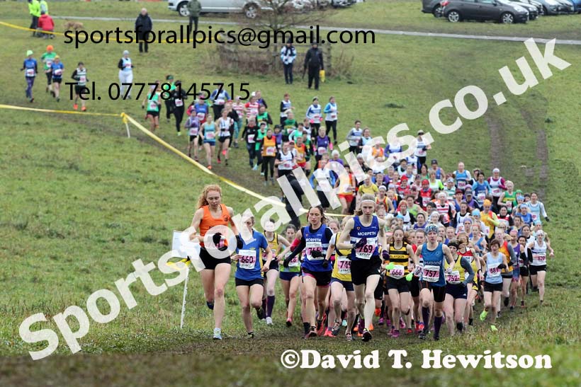 Senior women, 2021 North Eastern Cross Country Championships, Sedgefield. Photo: David T. Hewitson/Sports for All Pics
